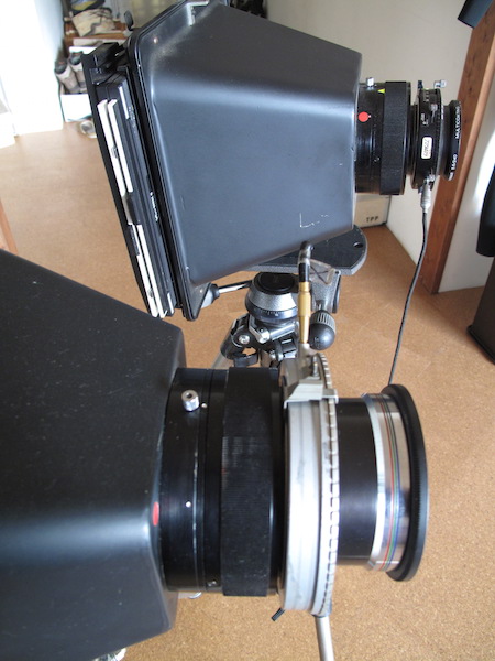 profile-photo5