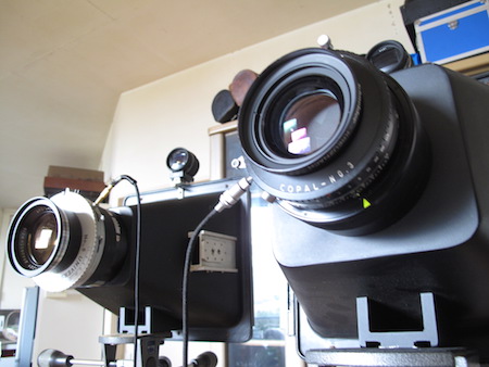 profile-photo8